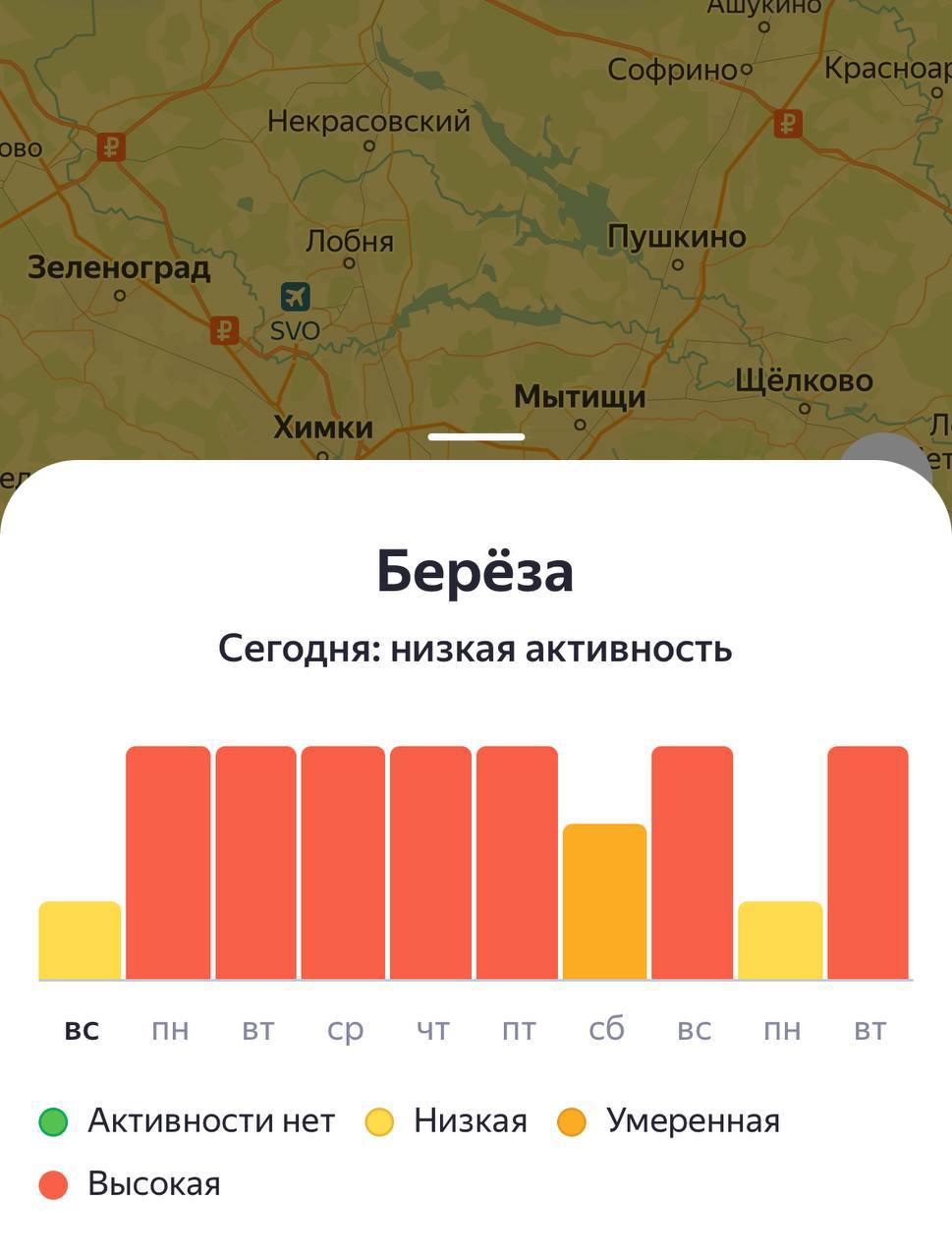 С завтрашнего дня и до следующей субботы в Москве ожидается высокая концентрация пыльцы. Аллергикам следует быть бдительными.
