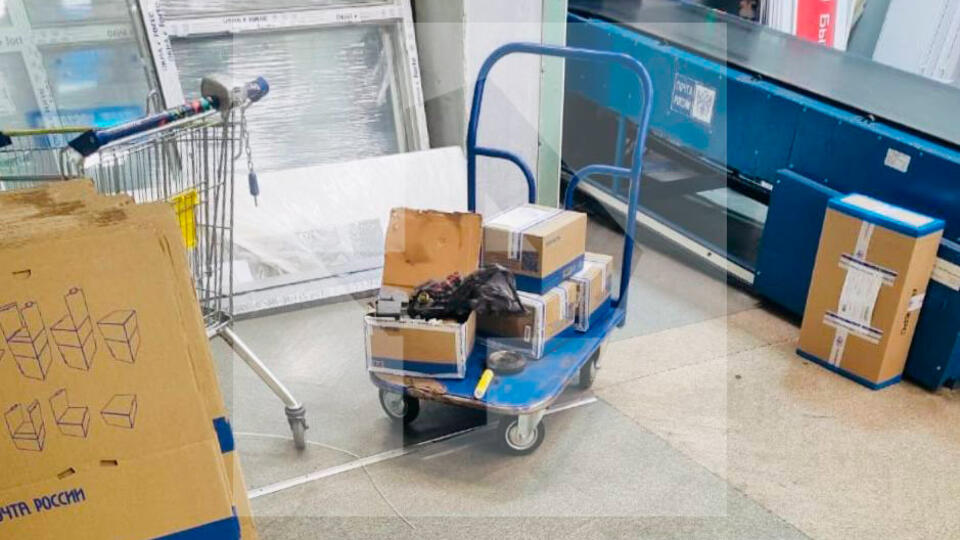 Петарды сдетонировали в банке с аскорбиновой кислотой BAZA Они находились в одной из посылок Жертв и разрушений нет Подписаться на Питер Live