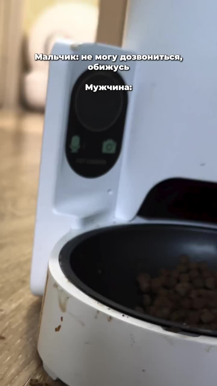 Россияне используют умную кормушку для онлайн-звонков