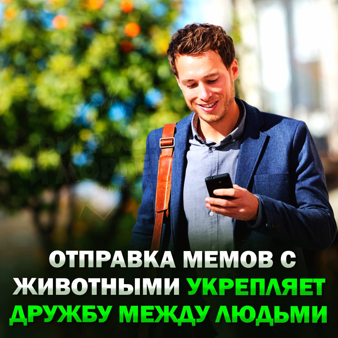 Учёные доказали, что отправка мемов с животными укрепляет дружбу По словам учёных, такой обмен контентом усиливает чувство близости и поддержки. Именно это психологи называют «цифровой заботой». Похожий эффект наблюдается и при отправке фотографий еды, смешных видео и других тёплых мелочей. Исследователи сравнивают это с поведением пингвинов, которые дарят друг другу камешки как знак привязанности, в то время как у людей это происходит в цифровом формате. — ПОЛНОСТЬЮ СОГЛАСЕН! — реальное общение ничего не заменит Рифмы и Морген