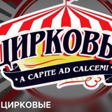 ЦИРКОВЫЕ