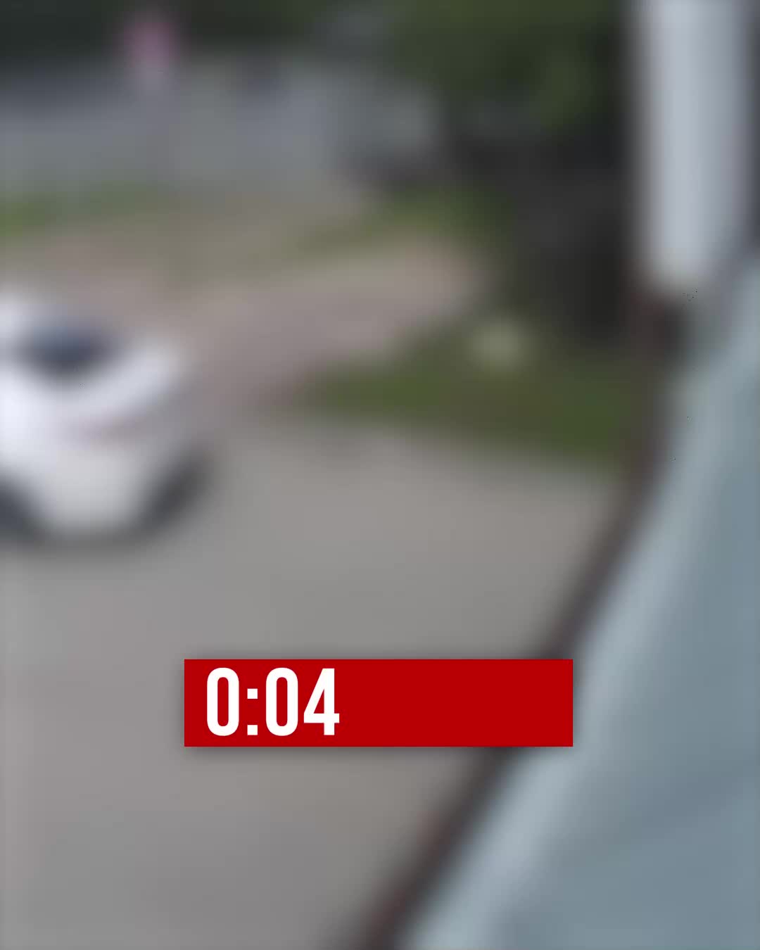 Полиция проверяет инцидент с выброшенной собакой у приюта в Нижнем Новгороде