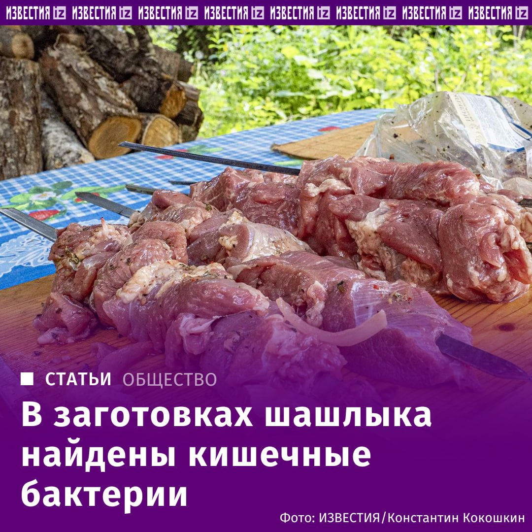 В мясе для шашлыка выявили кишечную палочку. Перед майскими праздниками "Известия" провели контрольную закупку мясной продукции для приготовления шашлыка в наиболее популярных гипермаркетах. Основная задача — выяснить, насколько качественное мясо для приготовления шашлыка продают безопасно ли его есть. Закупленные образцы отдали на проверку в испытательную референс-лабораторию Национального центра безопасности рыбной и сельхозпродукции. Отправить новость