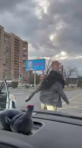 Девушка в Москве успешно противостоит приставшему таксисту