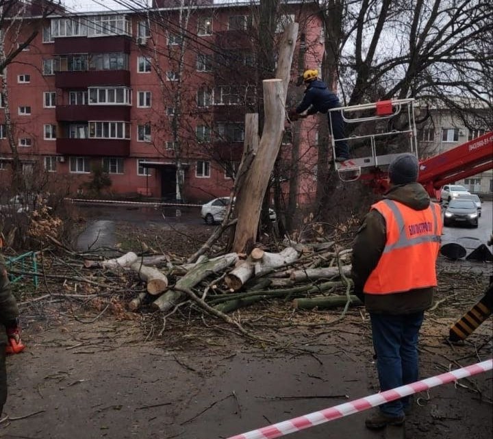 В 3-м Шоссейном переулке Курска признаны аварийными 12 деревьев  На территорию многоквартирных домов по поручению главы города Игоря Куцака выехала комиссия по зеленым насаждениям при комитете городского хозяйства.  У жителей домов в 3-м Шоссейном переулке вызывает опасение состояние деревьев во дворе. Комиссия признала аварийными 12 насаждений.  В комитете городского хозяйства сообщили, что управляющей компании направлены разрешения на снос. Работы уже начаты.  Фото: администрация города Курска.