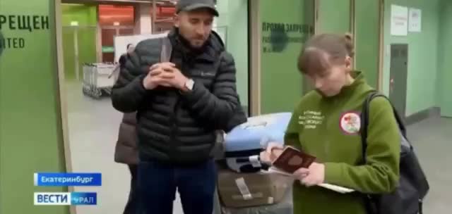 Из Екатеринбурга в Азербайджан отправлены 15,8 тысяч цыплят на фоне проверки мигрантов в аэропорту Кольцово