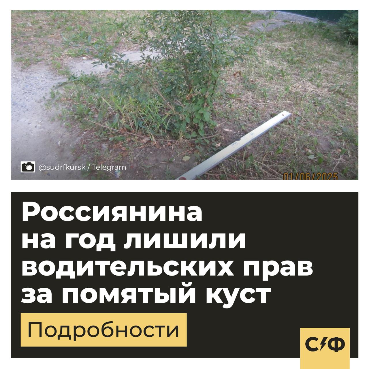 Россиянина на год лишили водительских прав за помятый куст  В Курске 51-летний водитель сдавал назад и наехал на куст у чужого дома.   Произошло это ночью. Мужчина утверждает, что не заметил зелень в темноте.   В чём проблема  Повреждённое растение оказалось не простым кустом на обочине. Хозяин соседнего дома лично приобрёл и посадил его.  Когда он заметил, что имущество пострадало, мужчина отсмотрел записи с камер видеонаблюдения и нашёл виновника. А потом оправился в суд.  Что было дальше  В суде водитель признал вину, сказав, что в темноте просто не заметил насаждения. Казалось бы, мелочь, за что тут прав лишать на целый год?  Но юридически наезд на имущество, пусть даже зелёное и кустистое, это причинение ущерба. А если есть ущерб, значит, это ДТП.  Почему так сурово  Главная ошибка водителя — он уехал с места происшествия. Это квалифицируется по ч. 2 ст. 12.27 КоАП РФ и карается штрафом или лишением прав от 1 года.  Статистика  Интересно, что за куда более опасные нарушения лишение прав наступает реже. Например, за выезд на встречку без прав остаётся только каждый 38-й. За превышение на 80 км/ч — каждый 23-й.   Как думаете, справедливо?   — Да, закон есть закон   — Могли бы обойтись штрафом    «Секрет фирмы»