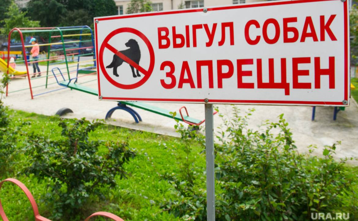 Оставленные на улице собачьи экскременты дорого обошлись жителям Уссурийска В Уссурийске привлечены к ответственности владельцы собак, не убирающие за своими питомцами. На двух нерадивых граждан составлены административные протоколы, в качестве наказания выписаны штрафы, сообщает ИА UssurMedia со ссылкой на пресс-службу администрации УГО. В мае административная комиссия Уссурийского городского округа рассмотрела семь протоколов об административных правонарушениях в сфере содержания домашних животных. Общая сумма выданных постановлений составила 8500 рублей. В общей сложности в мае составлено семь протоколов, пять из которых — за самовыгул питомцев, два — за несвоевременную уборку экскрементов. Администрация округа призывает любителей животных ответственно подходить к содержанию своих четвероногих друзей. Прислать новость: Наш Чат