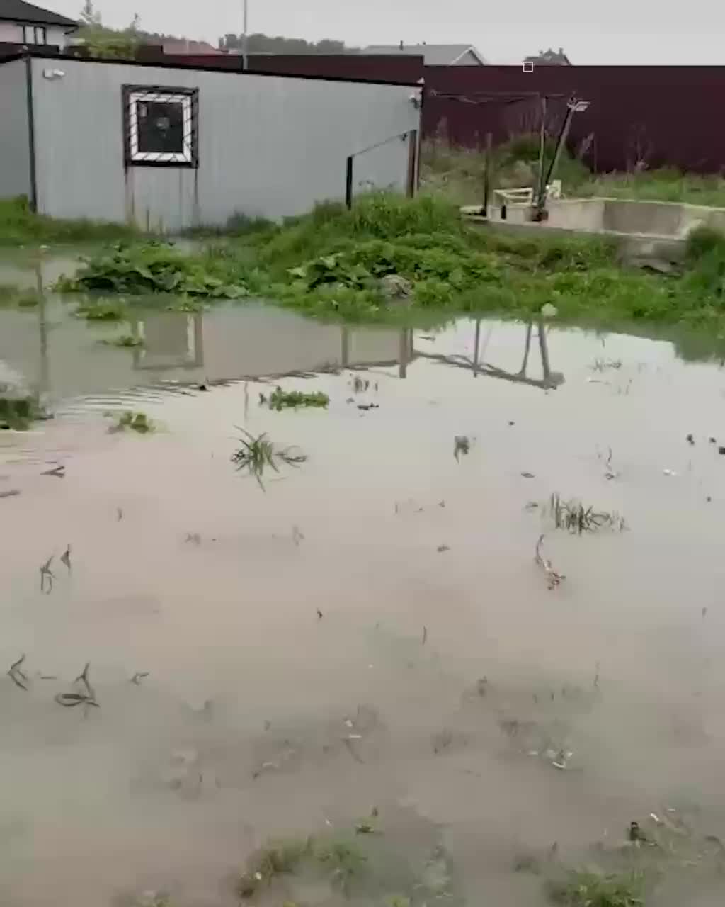 Прокуратура проводит проверки по фактам загрязнения водоемов в Архангельской области