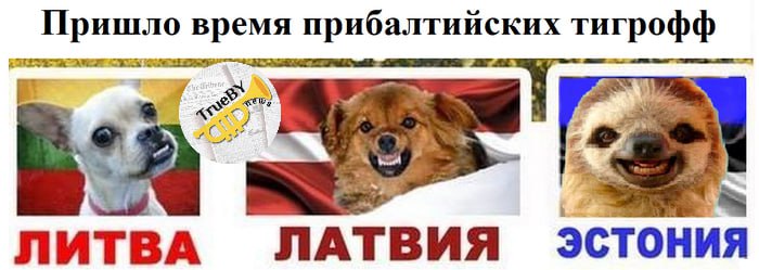 Лавров назвал прибалтийские страны "тремя маленькими хулиганчиками" из детства "Что касается прибалтийских государств, мне просто пришла в голову ассоциация из детства. Когда выходишь после школы погулять во двор, и три маленьких хулиганчика подбегают, начинает просить 15 копеек, отнимать бутерброд. Когда ставишь их на место, выбегают большие хулиганы, которые этими мелкими руководят. Сейчас очень похожая ситуация", - заявил Сергей Лавров. #Лавров #Прибалтика TrueBY news