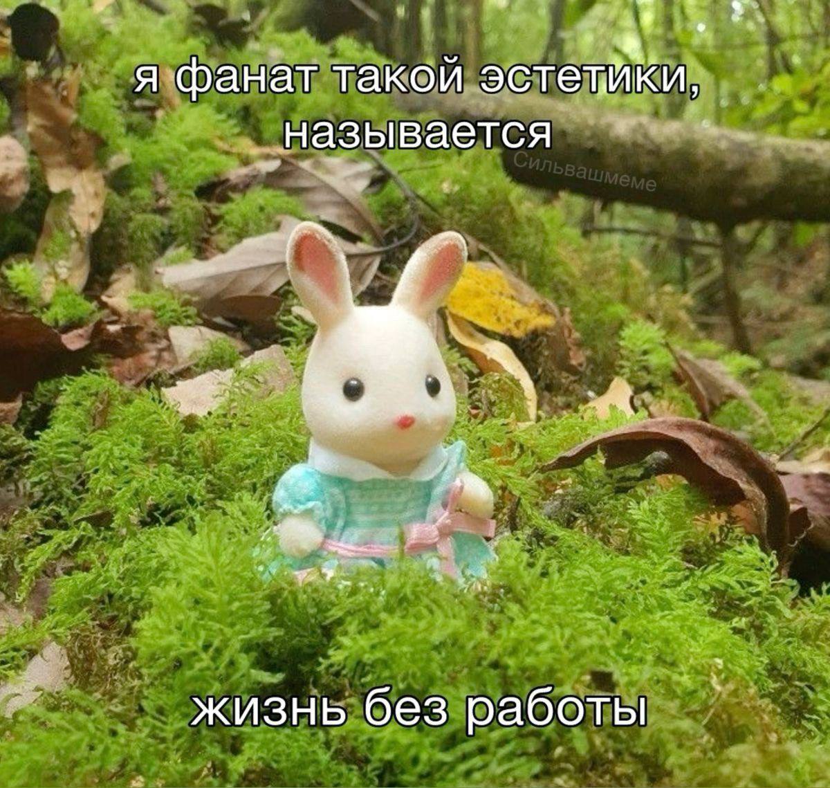 47% зумеров хотят войти в айти, но не хотят в стартапы    Опрос get experts и НИУ ВШЭ показал: почти половина молодых россиян до 28 лет мечтают работать в айти. Далее идут образование и наука, медиа  по 33% , культура  32%  и финансы  28% . Медицина, транспорт и стройка интересуют лишь единицы.  66% выбирают крупные корпорации, стартапы привлекают только 16%. Среди самых желаемых отделов — маркетинг и реклама  42% , айти  32%  и консалтинг  30% .  Зумеры хотят быть частью заметного продукта, а не рисковать в идейных проектах. Все-таки времена такие