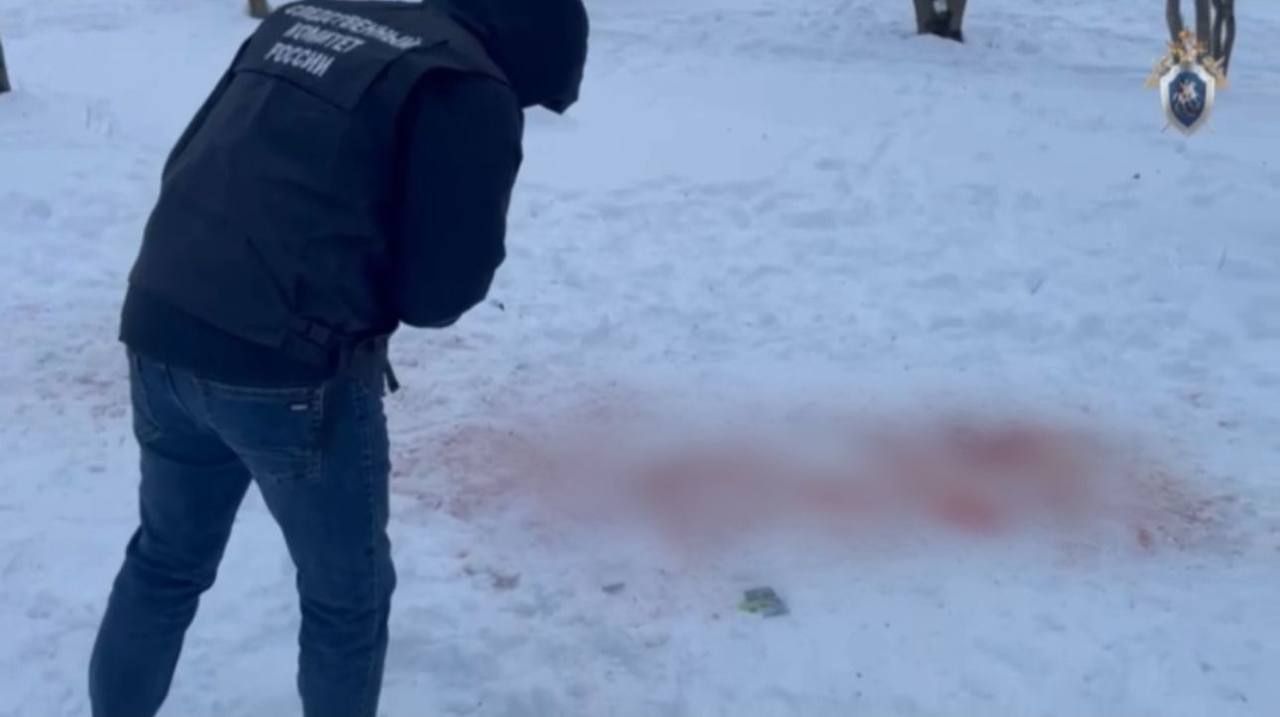 Дело о гибели 9-летней девочки от нападения собак передано в суд Напомни, 23 февраля стая собак, проживающих на участке 67-летней ставропольчанки, загрызла школьницу, которая гуляла неподалеку. Девочка скончалась на место происшествия. По данным следствия, 67-летняя владелица агрессивных псов содержала их на территории своего домовладения без намордников и привязи. При этом женщина не огородила участок с тыльной стороны, что позволяло животным бесконтрольно перемещаться за пределами домовладения. Соседи неоднократно просили фигурантку ограничить самовольные прогулки собак или передать их в приют, но она игнорировала эти требования. Вину женщины подтверждают заключения экспертиз, показания свидетелей и видеозаписи с камер наружного наблюдения. Расследование уголовного дела завершено, материалы направлены в суд. Обвиняемой инкриминируется статья «Причинение смерти по неосторожности», сообщили в краевом Следкоме.