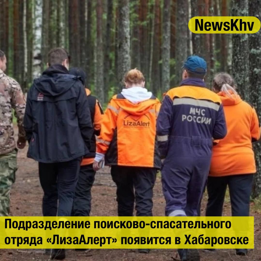 Подразделение поисково спасательного отряда ЛизаАлерт появится в Хабаровске В ближайшее время в Хабаровске и на Камчатке появятся представительства добровольческого поисково спасательного отряда ЛизаАлерт Об этом сообщили представители организации Они также подчеркнули на Дальнем Востоке трудно работать из за большой территории и нехватки добровольцев Действительно очень сложный и большой регион Людей гораздо меньше чем в центральных регионах и добровольцев соответственно меньше и у добровольчества здесь большие сложности по ресурсам людским прежде всего Сложный ландшафт есть абсолютно все море много воды сложная гористая местность большие пространства которые сложно закрывать пешими группами отметила федеральный инструктор школы ЛизаАлерт эксперт межрегиональных форумов по детской безопасности Нина Маньковская Источник ТАСС подписывайтесь на NewsKhv Прислать новость NewsKhv Official Мы в мессенджере MAX