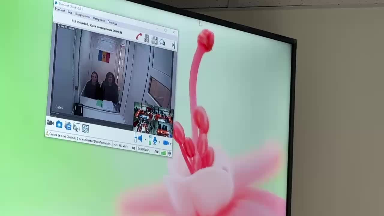 Адвокат требует улучшения условий для Гуцул и Попан на судебном заседании