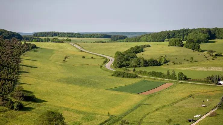 В Красноярском крае планируют расширить территории под КРТ еще на 1000 га к 2030 году Власти Красноярского края намерены активизировать работу по комплексному развитию территорий КРТ и к 2030 году планируют вовлечь в этот механизм не менее 1000 гектаров неэффективно используемых земель На данный момент в регионе заключено 29 договоров КРТ охватывающих участки общей площадью 455 гектаров Градостроительный потенциал этих территорий оценивается более чем в 4 миллиона квадратных метров жилья Пилотными площадками для реализации проектов КРТ в Красноярске станут ряд улиц и микрорайонов включая Абытаевскую Калинина 26 Бакинских комиссаров Стасовой Вавилова Шахтёров Подзолкова и другие Фото ru freepik com   Подписаться на sibnovosti ru предложить новость