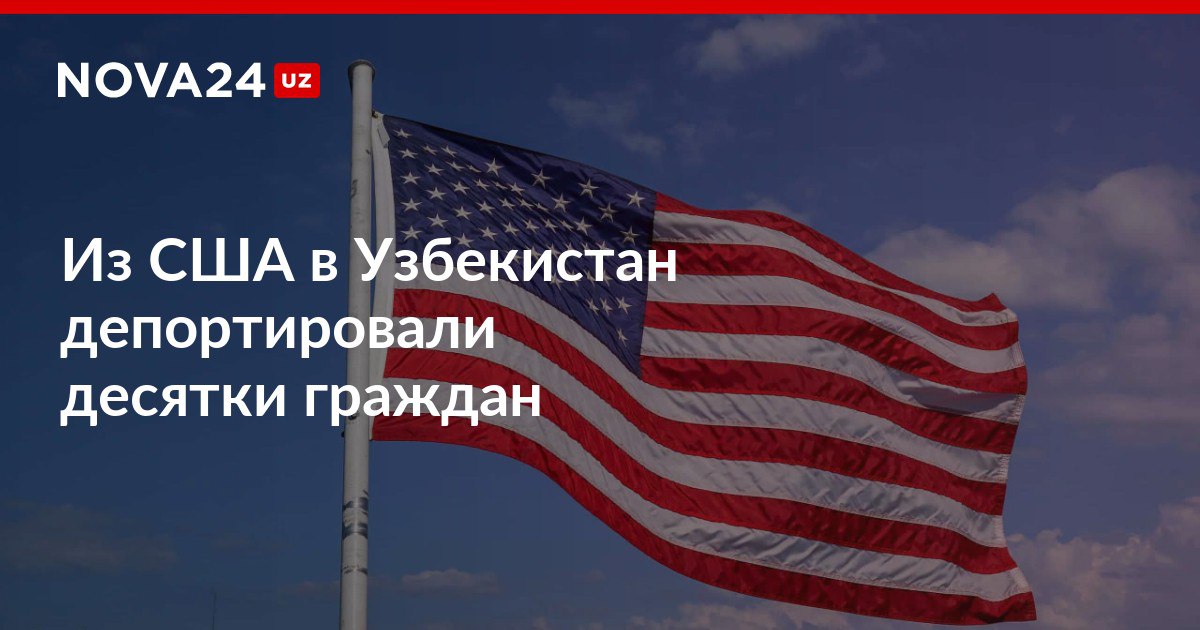 Из США в Узбекистан депортировали десятки граждан В Штатах поблагодарили узбекское правительство за сотрудничество nova24 uz 300875 NOVA24 LIVE