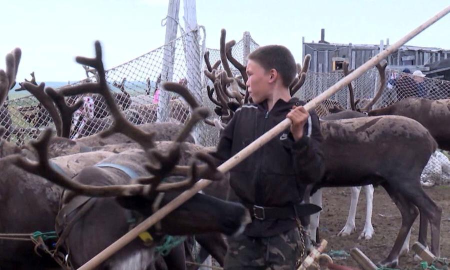 В Ненецком АО в рамках программы летнего трудоустройства более 500 детей приступили к работе Архивариус, озеленитель, фасовщик, делопроизводитель. Подростки из Ненецкого автономного округа в период каникул могут освоить разные профессии.