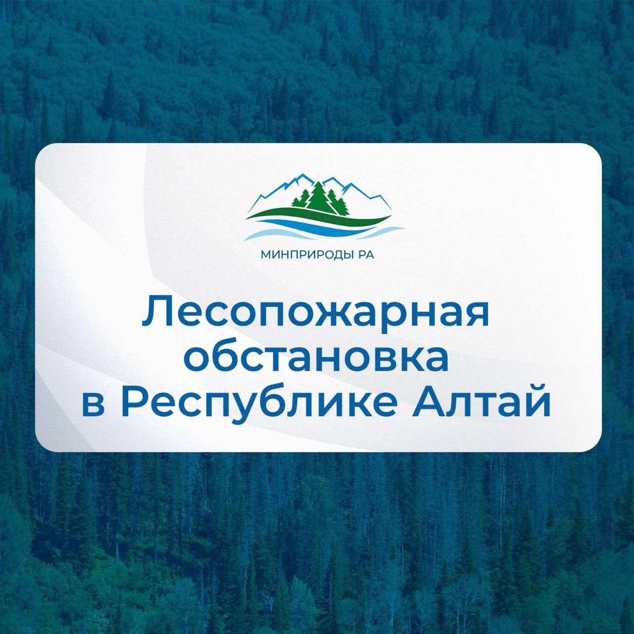 По состоянию на 16 июня 2025 года на территории Республики Алтай действующих лесных пожаров нет. Сегодня утром ликвидирован лесной пожар в Улаганском районе. По уточненным данным его площадь составила 3,1 га. Всего с начала пожароопасного сезона в лесном фонде возникло 12 лесных пожаров на общей площади 121,04 га. В 2024 году на этот день было зафиксировано три возгорания на площади 11,5 га. Напоминаем, в случае обнаружения возникновения лесных пожаров следует звонить на телефон Региональной диспетчерской службы 8 38822 5-11-71, либо обратиться в лесничество района.