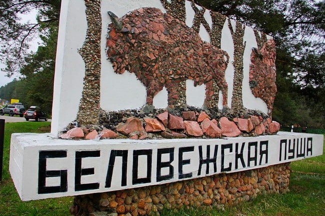 Беловежская пуща уникальный первобытный лес Европы оказалась под давлением милитаризации польской приграничной зоны Строительство заграждений дорог и укреплений нарушает экосистему мешает миграции животных и угрожает биоразнообразию охраняемому ЮНЕСКО Исследователи предупреждают асфальтирование заборы и движение транспорта могут привести к гибели редких видов Трансграничный характер леса разрушается а природные барьеры уступают место искусственным Биологи призывают власти использовать восстановление природы как средство защиты а не разрушения Разговоры на кухне