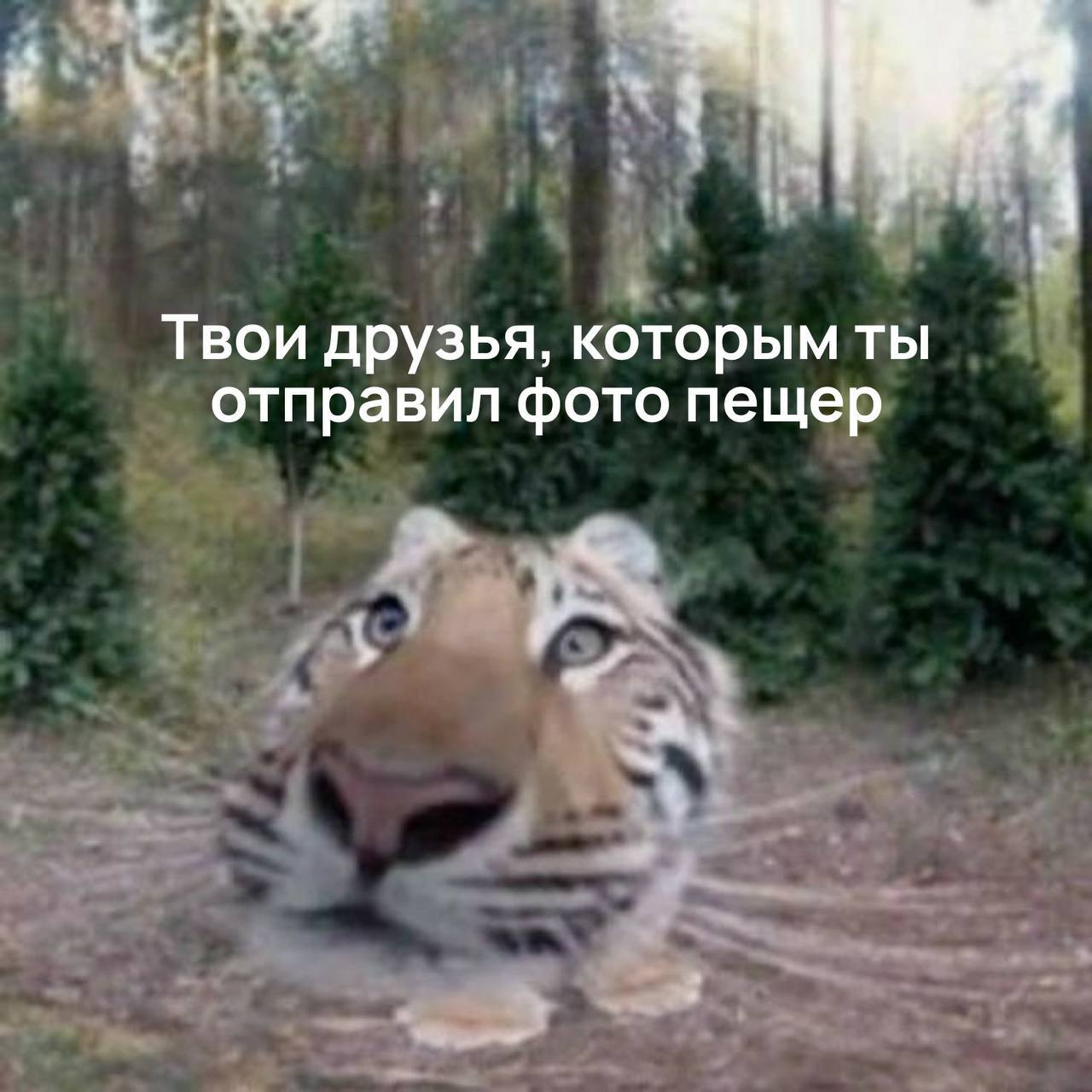 В Екатериновке установили новое телеком-оборудование МТС. Скорость мобильного интернета выросла на треть для жителей села в Партизанском районе. Рядом находятся Екатериновские пещеры — Пржевальского, Лисья и пещера имени Географического общества. Там археологи нашли останки мамонта, саблезубого тигра и других древних животных. Теперь туристы могут быстро делиться фото из пещер и пользоваться видеосервисами. ХОРОШИЕ НОВОСТИ