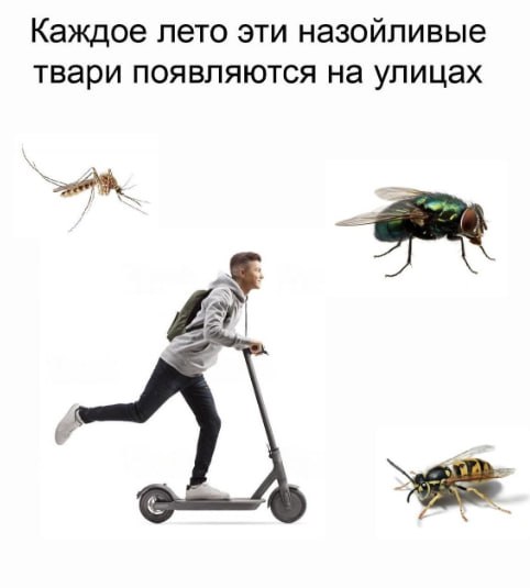 В Калининграде скоро вступят в силу новые меры регулирования кикшеринга Алексей Беспрозванных провёл встречу с правоохранителями и представителями кикшеринга МТС Юрент Whoosh Яндекс Поручения 1 Идентификация электросамокатов особенно частных причина многих аварий Планируется региональная система регистрации возможно федеральная инициатива 2 Повышение штрафов за неправильную парковку и передачу самокатов несовершеннолетним 3 Ограничение скорости СИМ по всему региону 4 Создание парковочной инфраструктуры для всех электросамокатов Срок на проработку решений 2 недели до следующего совещания Подпишись на СЗФОшную