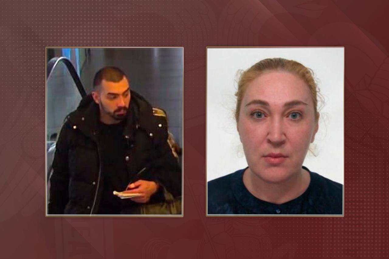 О ходе расследования уголовного дела об убийстве мэра и его супруги в Самаре Следственными органами СК России по Самарской области предъявлено заочное обвинение 56-летней уроженке Самарской области Метревели Светлане в пособничестве в убийстве бывшего мэра Самары и его супруги, совершенном из корыстных побуждений, группой лиц по предварительному сговору ч. 5 ст. 33, п.п. «а», «ж», «з» ч. 2 ст. 105 УК РФ . Также обвинение предъявлено ее 25-летнему племяннику Метревели Дмитрию в совершении убийства двух лиц, совершенном из корыстных побуждений, группой лиц по предварительному сговору п.п. «а», «ж», «з» ч. 2 ст. 105 УК РФ . В настоящее Метревели Светлана и Метревели Дмитрий, проживающие за пределам территории Российской Федерации, объявлены в международный розыск. По ходатайству следователя суд заочно избрал для Дмитрия Метревели меру пресечения в виде заключения под стражу. По версии следствия, Светлана Метревели, находясь за пределами Российской Федерации, оказывала содействие в совершении убийства мэра и его супруги советами и указаниями, а ее племянник и внучка потерпевших, действуя согласованно по ранее достигнутой договоренности, в целях завладения имуществом потерпевших отравили пару, а затем заморозили при помощи азота, расчленили тела, части которых раскидали по мусорным контейнерам в Самаре. Согласно заключению психолого - психиатрической экспертизе внучка потерпевших признана вменяемой. Расследование уголовного дела продолжается.