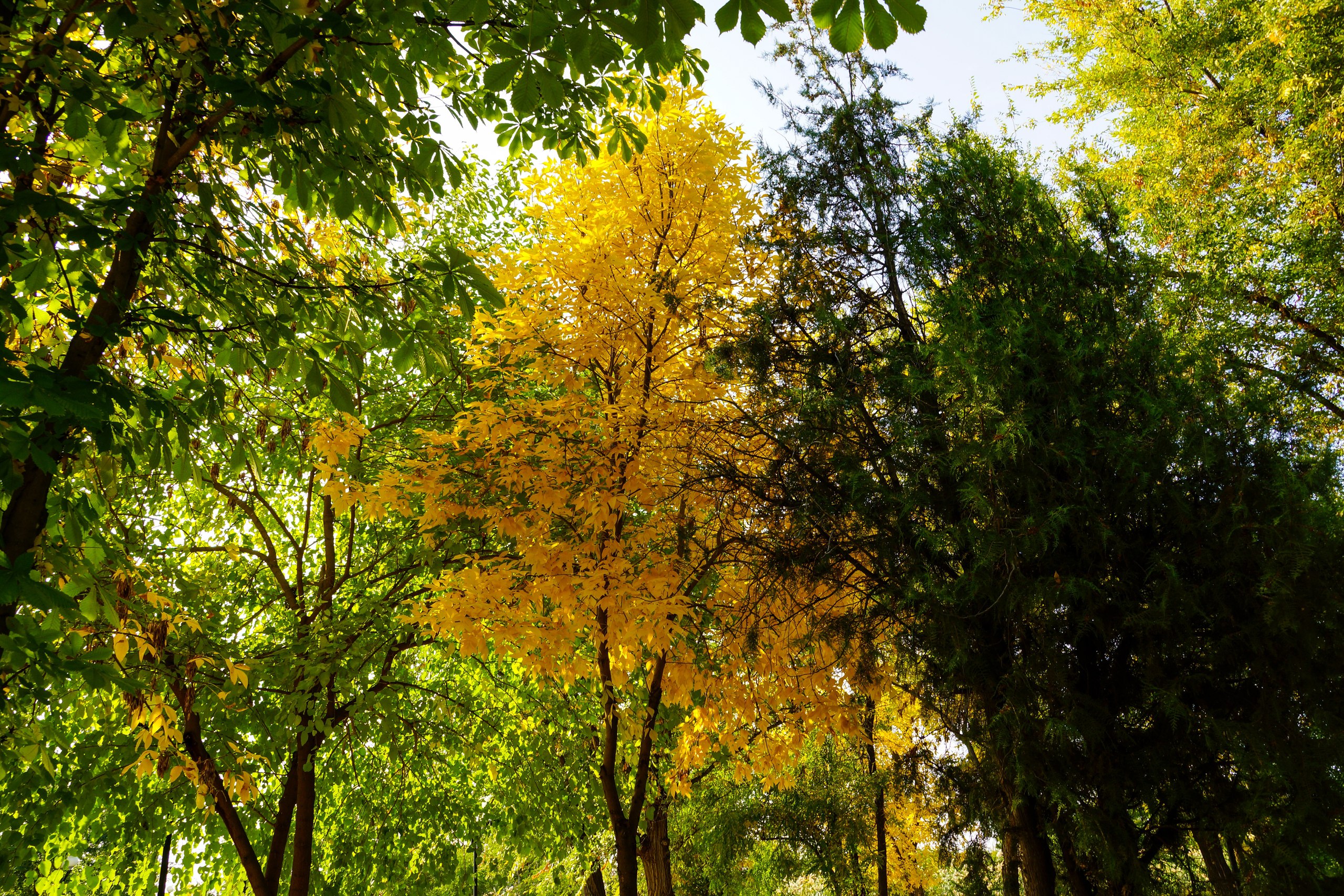 В лесах Астраханской области завершился пожароопасный сезон Пожароопасный сезон в лесном фонде региона завершился сегодня 1 ноября Основанием для принятия решения послужили благоприятные изменения в гидрометеорологических условиях и снижение уровня пожарной опасности Подробнее astrakhan su 338979 Мы в Max Подпишитесь
