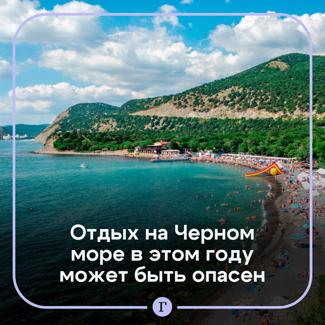 Отдых на Черноморском побережье в этом году может быть опасен.  Спрос на курорты Краснодарского края в предстоящем туристическом сезоне упадет, считает научный руководитель Института водных проблем РАН Виктор Данилов-Данильян.   По его словам, при контакте кожи с мазутом человек может получить химический ожог, аллергические реакции и экземы.    «Но с пляжами какая неприятность, вы можете чего-то не заметить, потому что оно ушло вглубь. Больше того, сейчас там начали копать, и до сих пор прекрасно видны слои загрязнения после аварии 2007 года», — предупредил Данилов-Данильян.     Для очистки пляжей придется вывезти до 500 тысяч тонн песка, что может «радикально изменить» береговые линии и пляжную рекреационную инфраструктуру, подчеркнул эколог.  Подписывайтесь на «Газету.Ru»