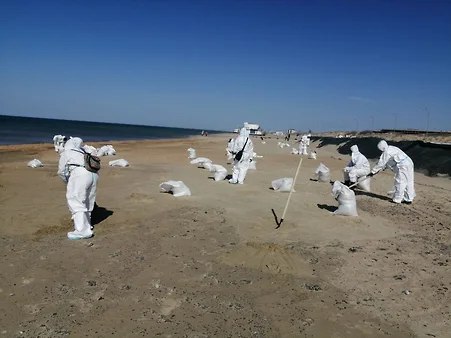 Власти закрыли для посещений природный парк на побережье Анапы Природный парк «Анапская пересыпь» закрыт для посещений в связи с работами по приведению в порядок загрязненной территории. Об этом сообщает оперативный штаб Краснодарского края.