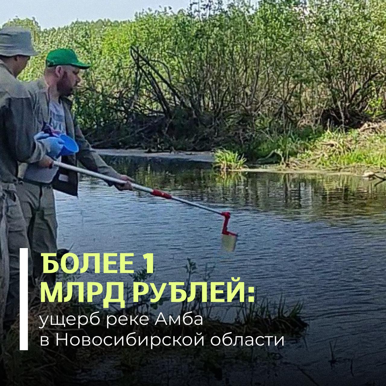 Суд обязал АО Кудряшовское выплатить ущерб в размере более 1 13 млрд рублей причиненный реке Амбе в Новосибирской области Внеплановую проверку Сибирское межрегиональное управление Росприроднадзора провело по требованию прокуратуры Во время обследования водоохранной зоны и акватории реки Амбы инспекторы зафиксировали признаки попадания навозосодержащих стоков в водный объект Лабораторные исследования выполненные ФГБУ ЦЛАТИ по СФО подтвердили превышение предельно допустимых концентраций загрязняющих веществ По результатам расчетов размер вреда причиненного водному объекту составил 1 134 876 374 рубля Суд обязал предприятие возместить ущерб в течение 6 месяцев Решение суда вступило в законную силу Подписывайтесь на Росприроднадзор в МАХ