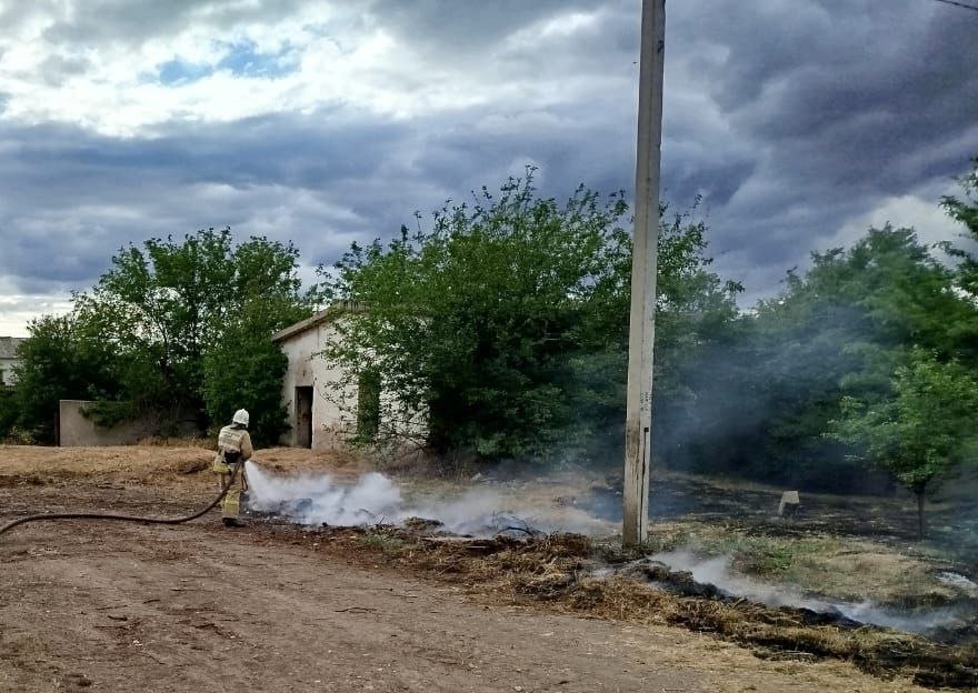 За прошедшие сутки сотрудники Пожарной охраны Крыма ликвидировали 4 возгорания сухой растительности В селе Ровенка Советского района горели лесополоса и сухая трава, площадь пожара — 200 квадратных метров. В селе Табачное Бахчисарайского района на площади 60 квадратных метров горела сухая растительность на территории частного домовладения. В сёлах Скалистое и Рощино пожарные тушили сухостой. Во всех случаях обошлось без пострадавших. Об этом сообщает пресс-служба МЧС Крыма.