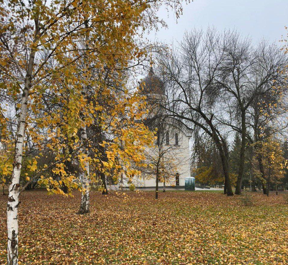 Сегодня ночью в больницу скорой медицинской помощи доставили 15 летнюю девушку с острым медикаментозным отравлением В настоящее время пациентка находится в реанимации Планируется перевод в детское отделение Айрат Рахматуллин