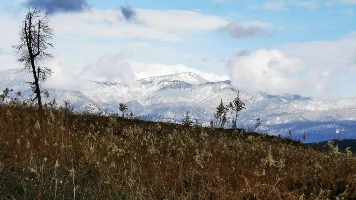 РосАгрохимслужба впервые провела анализ почв для садоводства за рубежом Специалисты Крымского филиала ФГБУ РосАгрохимслужба провели агрохимическое и экологическое обследование земель в Республике Абхазия Это первые работы организации за рубежом Цель исследования оценить пригодность участков для закладки многолетних насаждений ценных культур Подробнее читайте