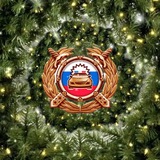 Госавтоинспекция Хабаровского края