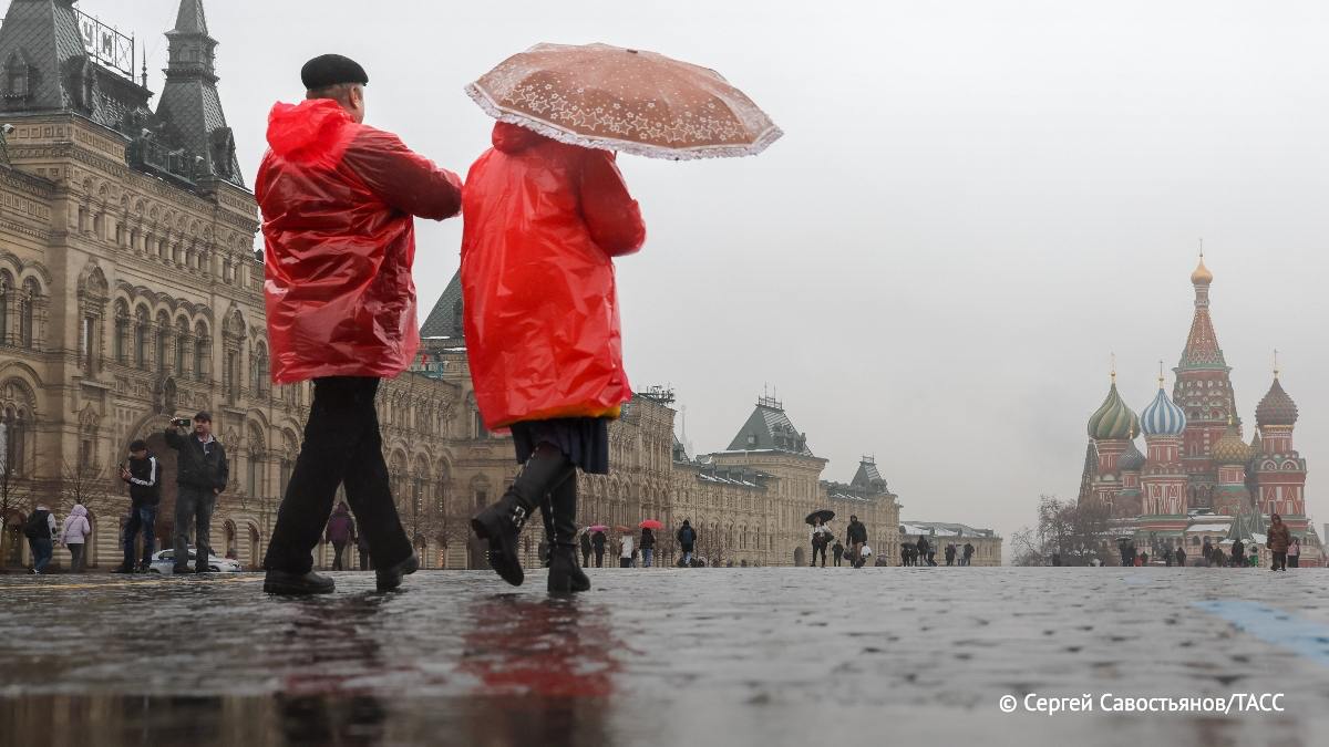 Мокрый снег и ветер ожидаются утром и до вечера 14 октября в Москве. Об этом ТАСС сообщили в пресс-службе столичного ГУ МЧС.     / Москва