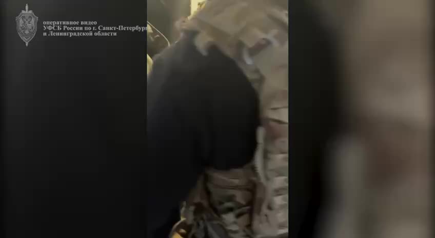 Арендатор леса в Судогодском районе возместил ущерб за незаконную вырубку сосен