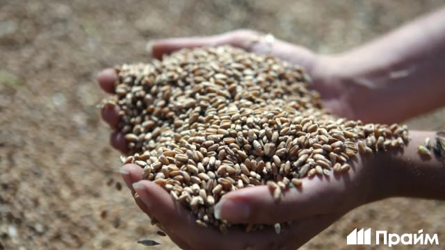 Доля зерновых в российском экспорте продукции АПК стала крупнейшей и составила 30 по итогам 2025 года Часть масложировой продукции заняла 22 от общего объема рыбы и морепродуктов 15 рассказали в федеральном центре Агроэкспорт Подписывайтесь на ПРАЙМ в MAX