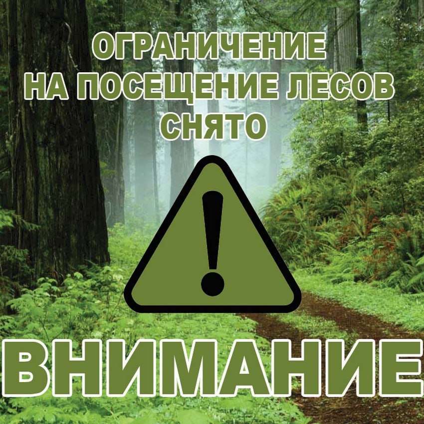 В Забайкалье снова можно гулять по лесам С 11 июля снято ограничение на посещение лесного фонда на всей территории края, сообщили в Минприроды. Также отменён режим ЧС федерального уровня. Не забывайте соблюдать правила пожарной безопасности в лесу! ZAB.RU