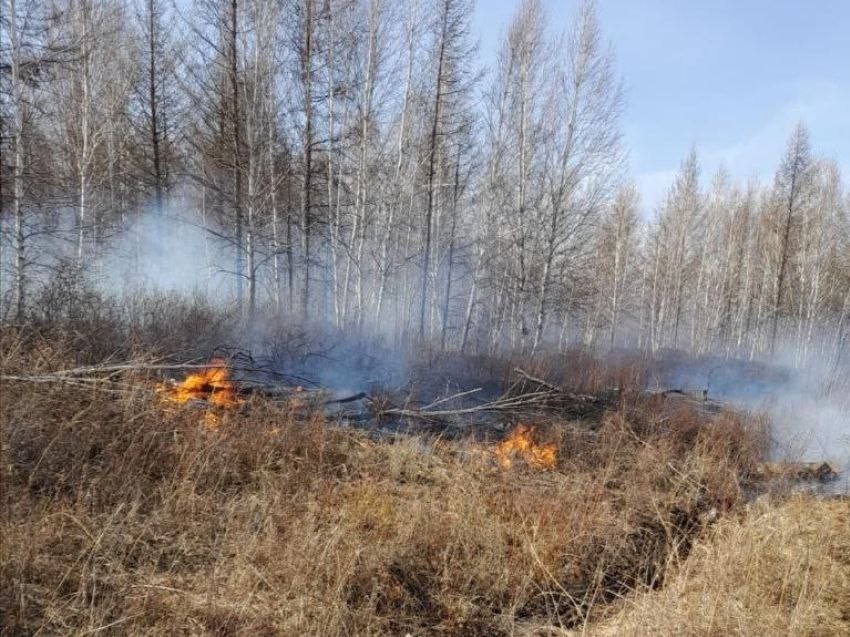 Поджигатели травы и леса в Хабаровском крае понесут материальную ответственность за расходы на тушение пожаров. На особом контроле органов прокуратуры края находятся вопросы противопожарной безопасности в лесах и населенных пунктов в ходе прохождения пожароопасного сезона. В текущем году уже зарегистрировано 673 ландшафтных и 66 лесных пожаров, из них 70 % возникли по вине местного населения. В этой связи органами прокуратуры края проводится работа по взысканию с виновных лиц расходов, понесенных на тушение ландшафтных и лесных пожаров. В ходе проверочных мероприятий органов пожарного надзора в г. Комсомольске-на-Амуре, Солнечном, Комсомольском районах установлены и привлечены к административной ответственности по ст. 20.4 КоАП РФ нарушение требований пожарной безопасности граждане, виновные в возникновении и распространении ландшафтных пожаров. В двух случаях поджигателями сухой растительности оказались несовершеннолетние подростки. К примеру, прокурором Комсомольского района установлено, что 13.04.2025 в п. Молодежный несовершеннолетний подросток совершил поджег травы. В результате незаконных действий возник ландшафтный пожар, площадь его ликвидации превысили 3 000 м2. Для тушения ландшафтного пожара привлечены силы и средства Противопожарной службы Хабаровского края, которые финансируются за счет регионального бюджета. Расходы составили более 33 тысяч рублей. Прокуратура Комсомольского района направила в суд иск с требованиями о взыскании с законного представителя несовершеннолетнего понесенных на тушение пожара расходов. Аналогичные исковые заявления о взыскании с граждан расходов на тушение пожаров направлены прокурорами г. Комсомольска-на-Амуре и Солнечного района на общую сумму более 45 000 рублей. Надзорная деятельность в данном направлении будет продолжена.