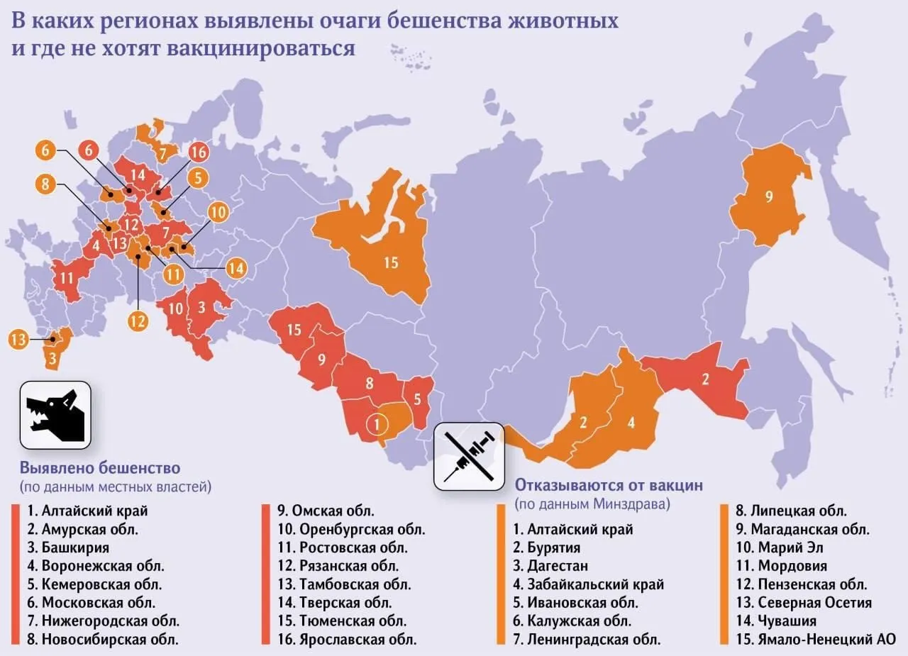 Бешенство выявили уже в 16 регионах России включая Подмосковье СМИ При этом россияне всё чаще отказываются от прививок в ряде регионов доля отказов превышает 30 Прямой эфир Наш MAX