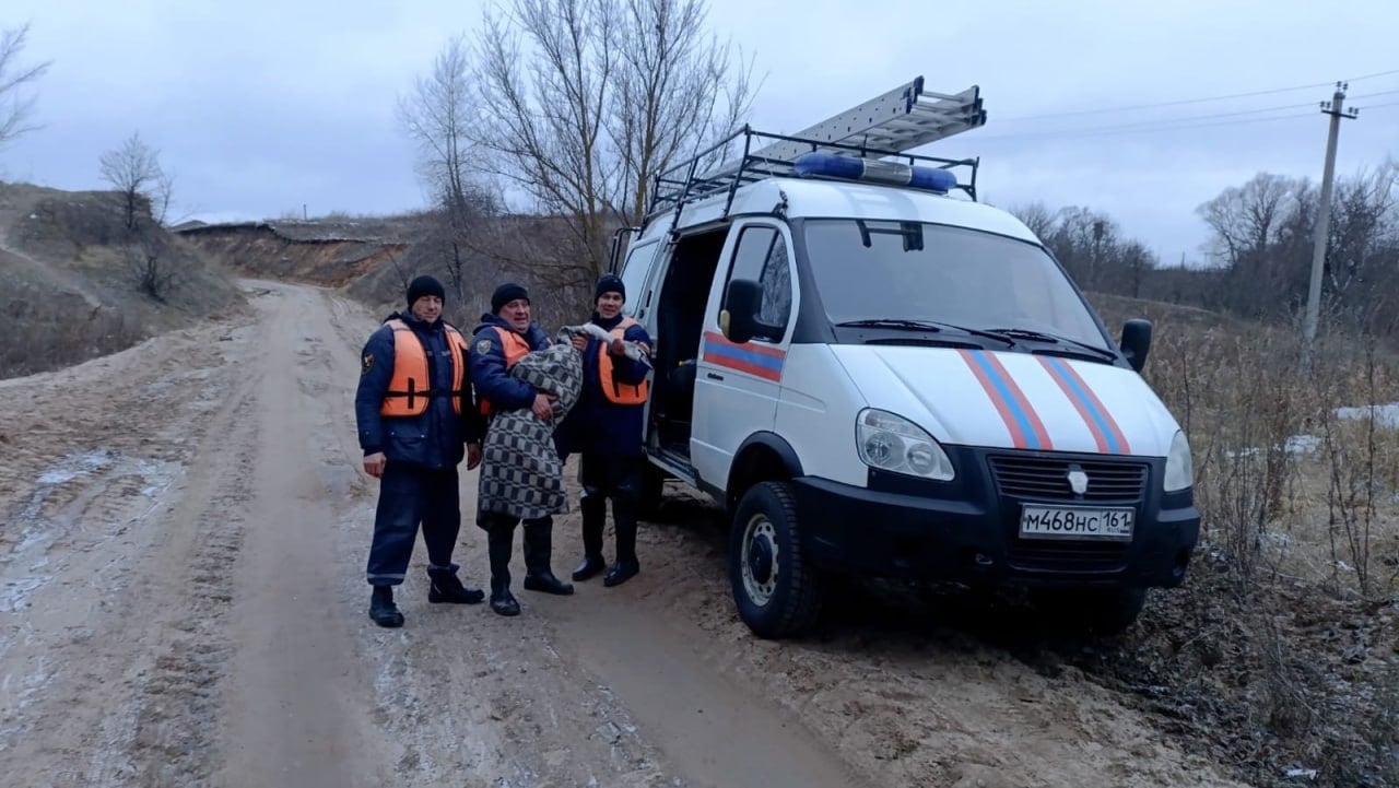 В Ростовской области спасли примерзшего ко льду лебедя    В станице Вешенской Ростовской области спасли примерзшего ко льду лебедя. Об этом сообщили в Ростовской областной поисково-спасательной службе во внутренних водах и территориальном море РФ.    Инцидент произошел 6 декабря. Очевидцы заметили, что лебедь примерз посреди водоема ко льду и сразу же вызвали спасателей.    Сотрудники оперативно прибыли на место и доставили пернатого на берег. Птица за это время сильно замерзла. Спасатели укутали ее в одеяло и показали ветеринару.    Пока лебедю не найдут постоянное место для жилья, он будет оставаться у жителей до весны в теплом помещении.   Подписаться на "Новости Ростова"    Прислать новость