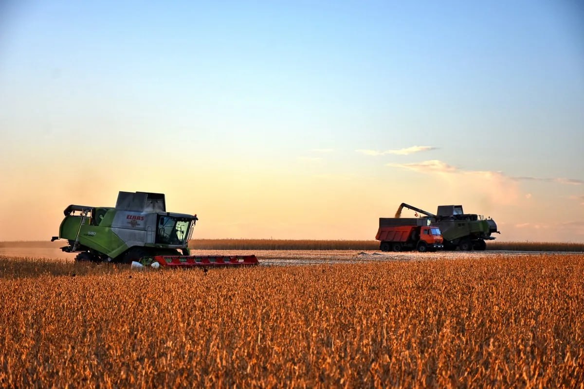 Рязанская область заняла четвёртое место в России по росту посевной площади За три года вернули в оборот 35 тысяч гектаров ранее заброшенных земель По итогам 2025 года регион вошёл в число лидеров страны по урожайности сразу нескольких культур соя четвёртое место в России подсолнечник седьмое место кукуруза восьмое место рапс десятое место Это результат системной и последовательной работы Наши аграрии внедряют современные технологии развивают сёла и посёлки Со своей стороны продолжаем поддерживать сельхозпредприятия и фермеров на всех этапах от посевной до реализации продукции Подписывайтесь на мой канал в МАХ