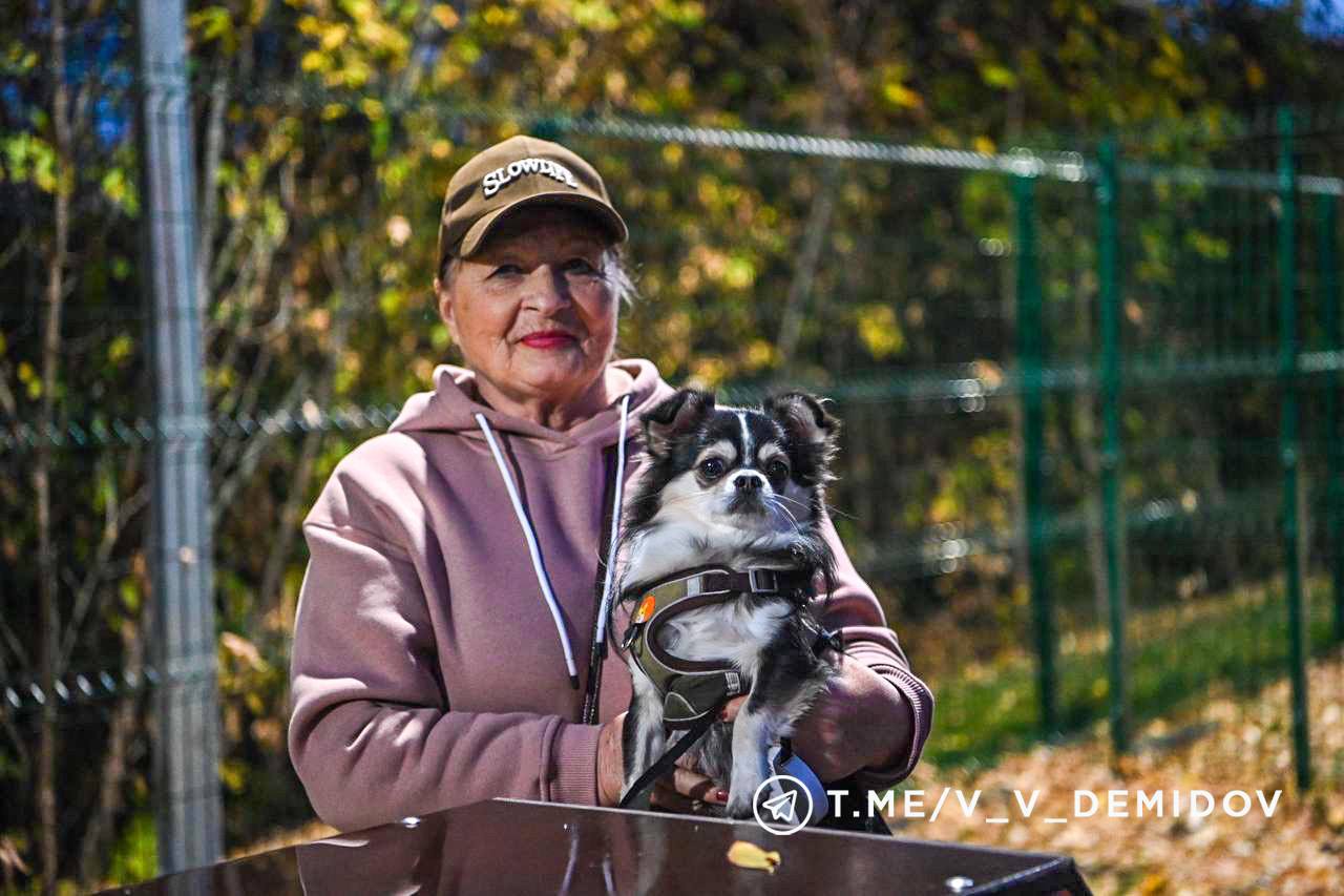 Собачья радость: на улице Молодёжной в Белгороде оборудовали площадку для выгула питомцев  Накануне мэр Валентин Демидов передал ключи от неё жителям микрорайона.  На площадке две зоны, одна с песчаным покрытием для игр  286 кв.м , вторая с тренажёрами  410 кв.м  – для тренировок. Для «собачьих упражнений» на ней установили балансир, барьеры, трамплин.   Проект долгожданный, жители его реализацией довольны, подчеркнул мэр. Он также сообщил, что к площадке сделают пешеходный переход, а над скамьями обустроят навесы.   Отметим, что в этом году в областном центре появились три новых площадки для выгула питомцев на улицах Молодёжная, Привольная и Дальняя. Ранее власти сообщали о планах обустроить в городе семь площадок.