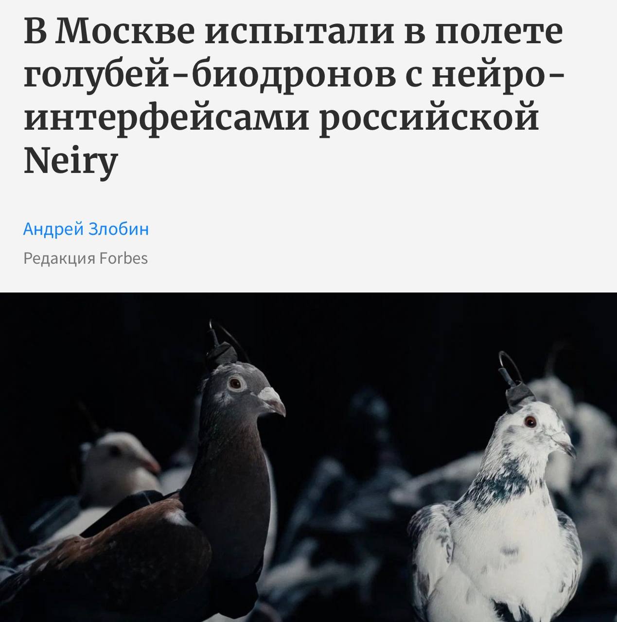 Голубей дронов создали в России они уже прошли первые лётные испытания Птицы будут контролировать объекты ЛЭП и газораспределительные узлы Пернатому в голову вживляют имплант на который можно установить задание Чип будет стимулировать определение зоны мозга поэтому голубь сам захочет выполнить задание investingcorp
