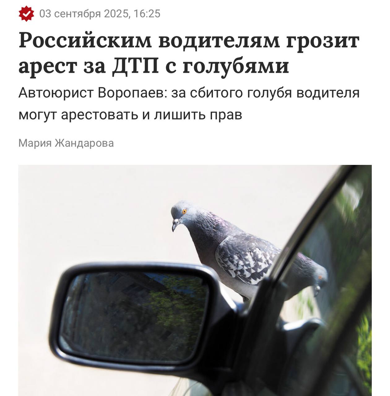 До 5 лет тюрьмы могут получить водители за ДТП с голубями напомнили юристы При массовом наезде на птиц это может расцениваться как жестокое обращение с животными Нарушителю грозит от 100 тыс штрафа до 5 лет тюрьмы Если же водитель сбил птицу и уехал это оставление места аварии Его могут лишить прав и арестовать до 15 суток investingcorp