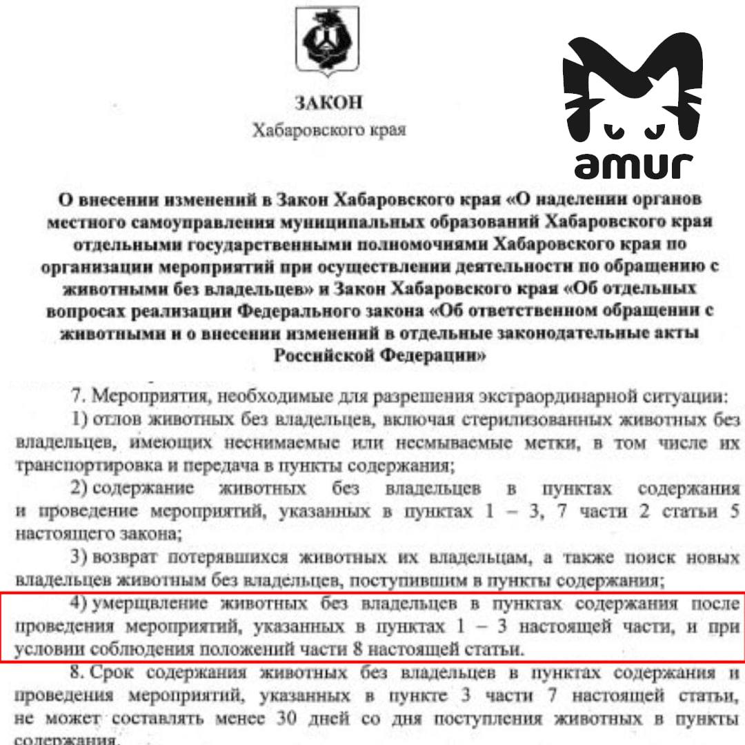 Эвтаназию бездомных собак разрешили в Хабаровском крае. После многочисленных нападений дворняг на людей в том числе, детей в регионе подписали закон. Теперь можно усыплять тех псов, которые набросились на человека, нанесли серьёзный вред здоровью или даже стали причиной смерти. Также это касается стай из четырёх и более хвостатых, если они представляют опасность. Помимо прочего, ввели обязательную регистрацию питомцев — чтобы было понятно, кто за них отвечает.