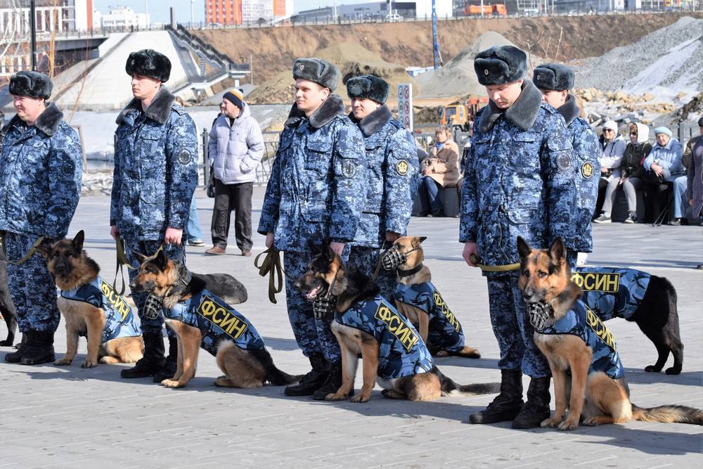 Первый торжественный марш служебных собак в России прошел в Кемерове!     В праздничной колонне, под звуки оркестра и с соблюдением военных ритуалов,  в Парке Победы имени Г.К. Жукова прошли служебные собаки Росгвардии, ГУФСИН, МЧС, а также отличившиеся в зоне СВО.     Также на мероприятии за свою службу немецкие овчарки Тита из ОМОН «Рубеж» и Чара из ОМОН «Оберег» награждены знаками отличия служебной собаки III степени. А овчарка Терри из ОМОН «Оберег» награждена II степенью.   Эти верные хвостатые помощники помогают находить преступников, участвуют в спасательных миссиях, помогают нашим бойцам!    Накидайте им        Прислать новость