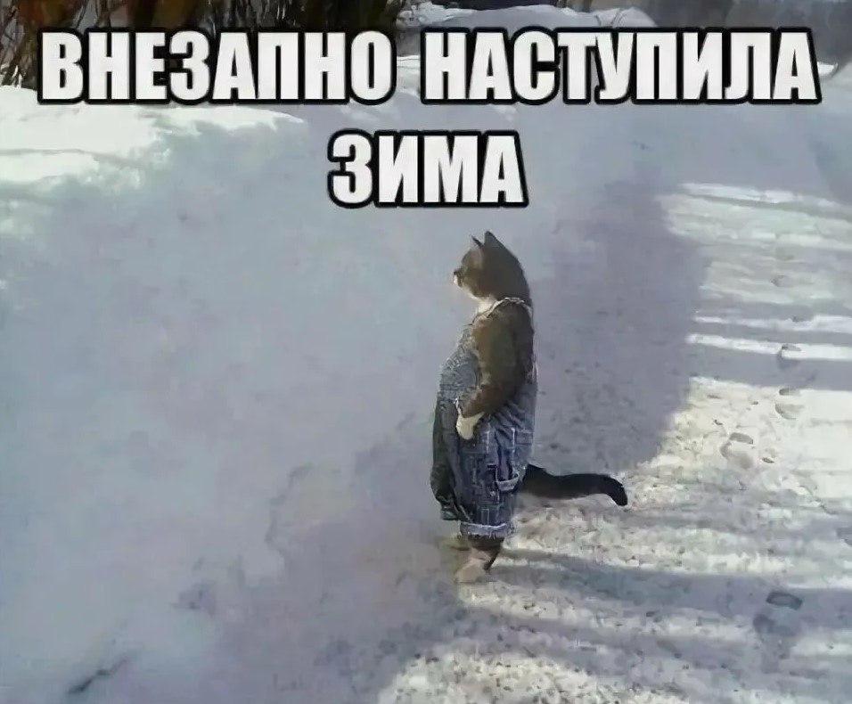 Россия уже наполовину под снегом По данным Гидрометцентра снежное покрывало сейчас простирается над 50 55 страны Неделей раньше цифра была выше до 60 но часть снега растаяла особенно в Бурятии и Забайкалье где ранний снег мешал убирать урожай Теперь поля освободились но ненадолго синоптики уверены что зима отступила на чуть чуть В ближайшие дни снег снова вернется в том числе на юг Сибири и в Приморье А у вас уже выпал снег   Да все белым бело Только дождь и слякоть   У нас золотая осень   Подпишитесь на Абзац TG VK Дзен MAX Rutube