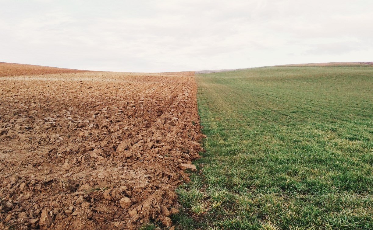 Нитриты тяжелые металлы нефть что нашли в сельхозземлях на Сахалине Пробы почвы взяли на землях сельхозназначения в островном регионе Более чем в четверти образцов нашлись нарушения сообщили в Приморском межрегиональном управлении Россельхознадзора С начала года по 7 ноября специалисты провели 180 исследований почвенных образцов В результате получено 50 положительных результатов По техногенному загрязнению плодородного слоя специалисты провели 125 исследований образцов почв В результате выявлено 44 положительных результата из них 14 превышение допустимого уровня содержания нитратов 11 превышение допустимого уровня тяжелых металлов 9 несоответствий санитарно бактериологическим показателям 6 присутствие нефтепродуктов 3 несоответствия санитарно паразитологическим показателям 1 пестициды На соответствие агрохимическим показателям проведено 55 исследований в ходе которых изучалось соответствие плодородного слоя почвы по содержанию фосфора калия pH и гумуса В результате установлено 6 несоответствий Результаты исследований предоставили в Приморское межрегиональное управление Россельхознадзора для принятия мер Прислать новость Подписывайся на АСТВ ру
