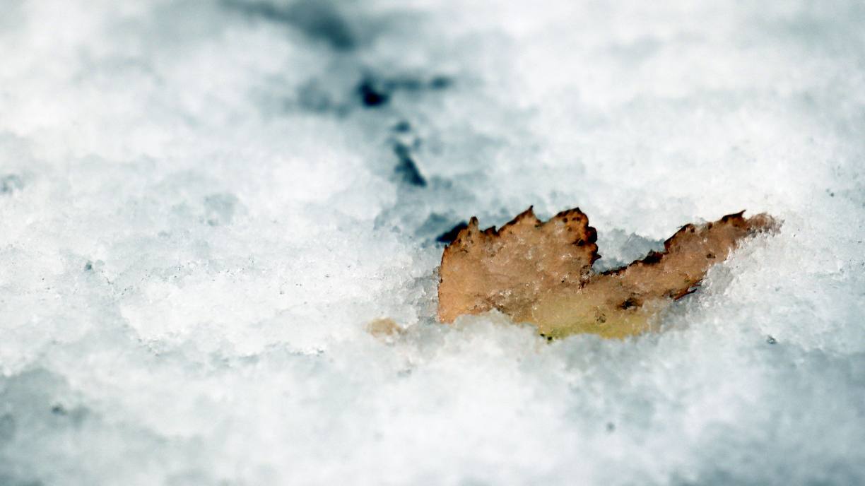 Дорогу зимним развлечениям во Владивостоке завтра откроются лыжня и городской каток   Открытие лыжной трассы на Русском острове состоится завтра 27 декабря в 12 00 В первый день для гостей подготовили торжественную программу и небольшие активности А в 14 00 в городе начнёт работу бесплатный каток на стадионе Авангард Посетителям будет доступен прокат коньков и зона фудкорта с горячими напитками Каток будет открыт для катания со вторника по воскресенье с 10 00 до 21 00 понедельник день профилактических работ Источник adm vl vmfareast